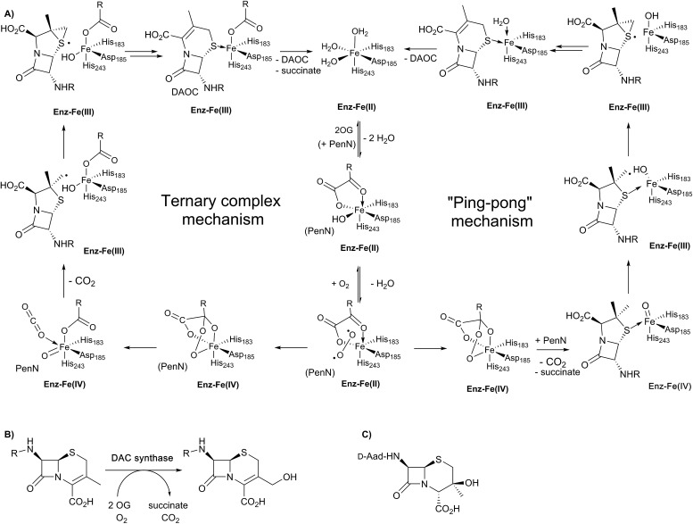 Fig. 7