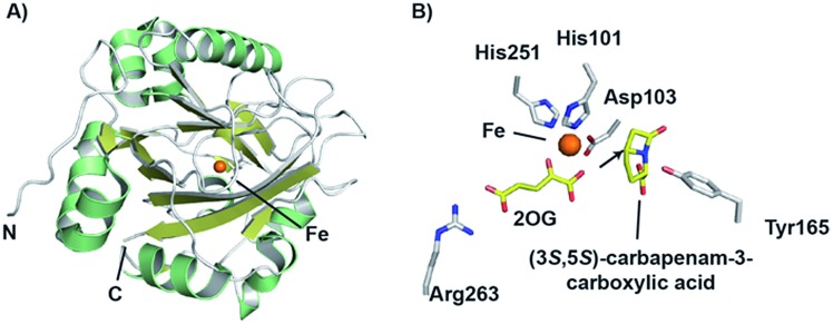 Fig. 14