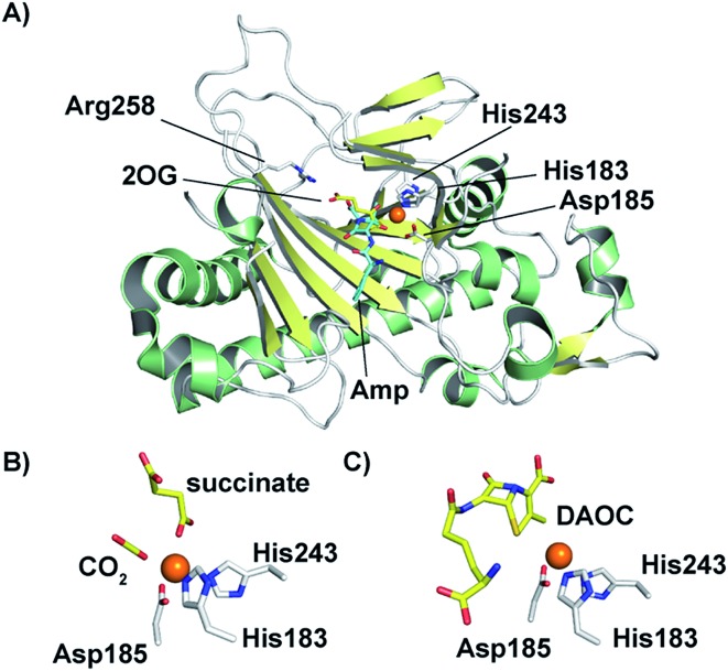 Fig. 8