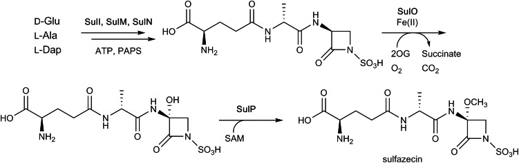 Fig. 15