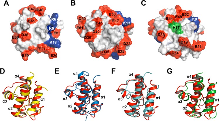 FIGURE 9.