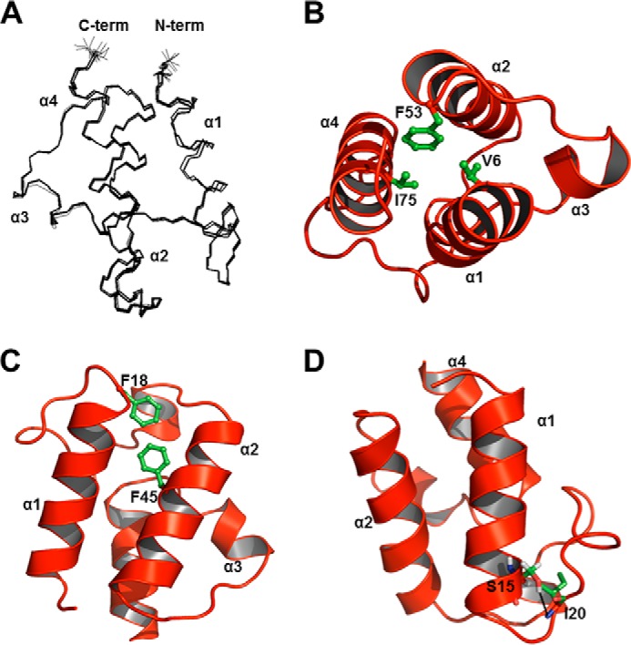 FIGURE 4.