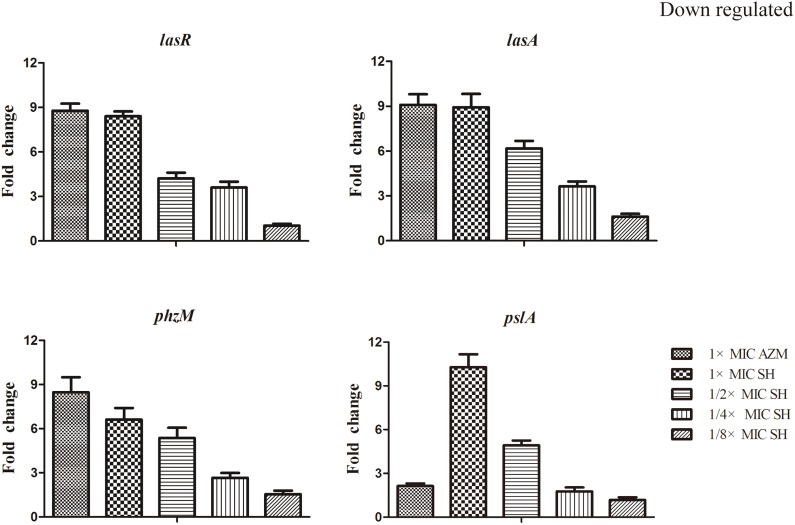 Figure 5