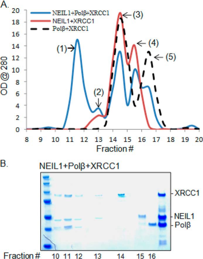 FIGURE 10.