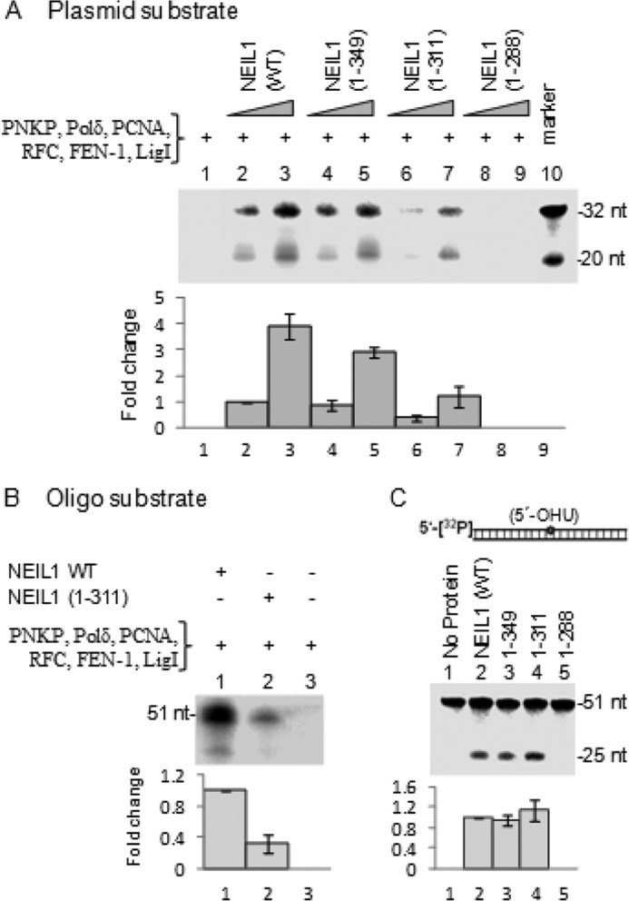 FIGURE 7.