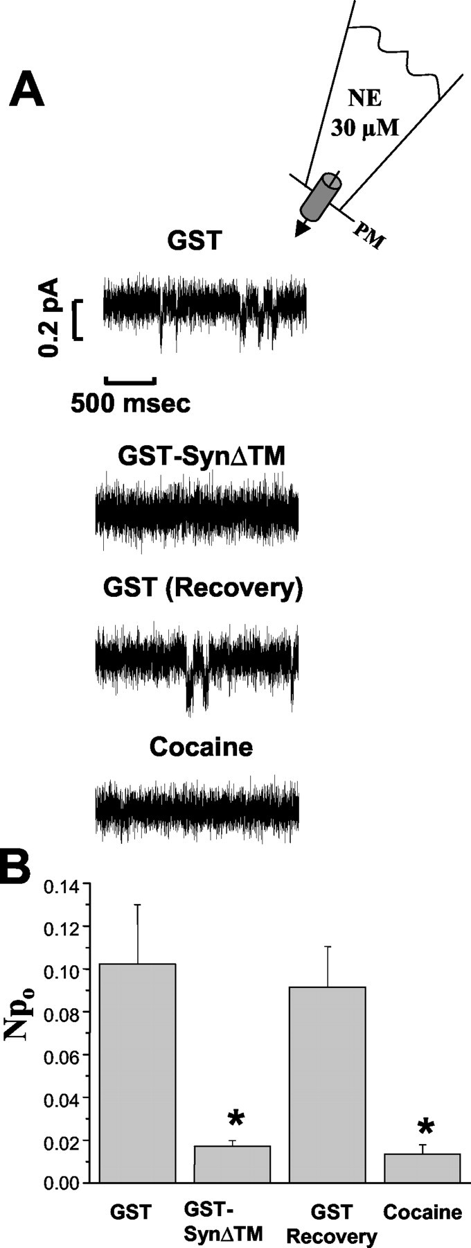 Fig. 7.