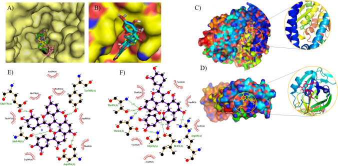 Fig. 7
