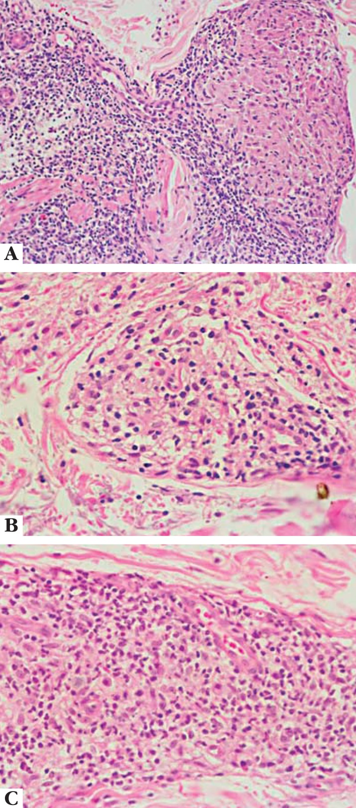 FIGURE 4