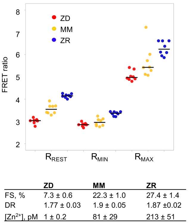 Figure 1—figure supplement 4.