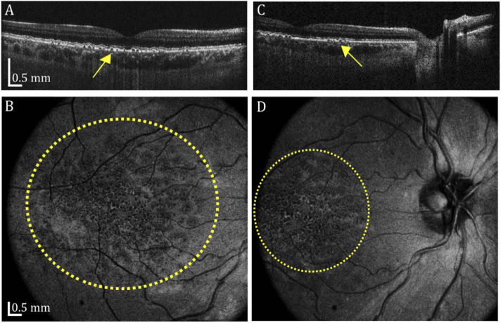 Fig. 7.