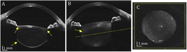 Fig. 8.