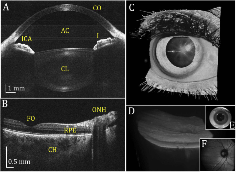 Fig. 6.