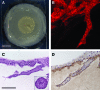 FIG. 4.