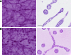 FIG. 8.