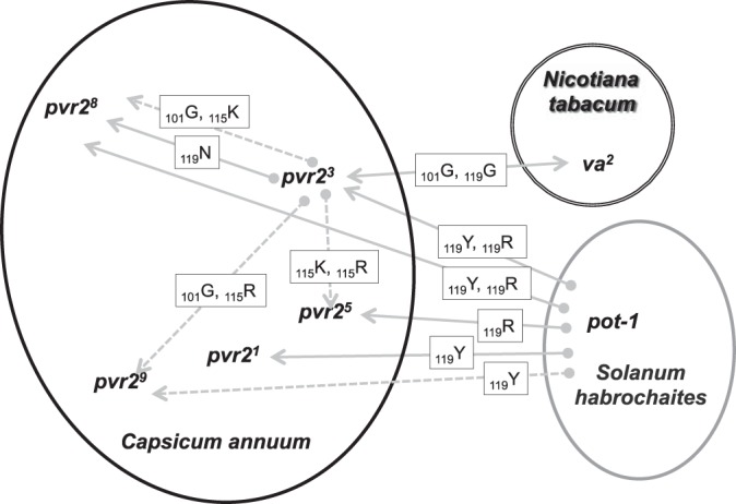 FIG 3