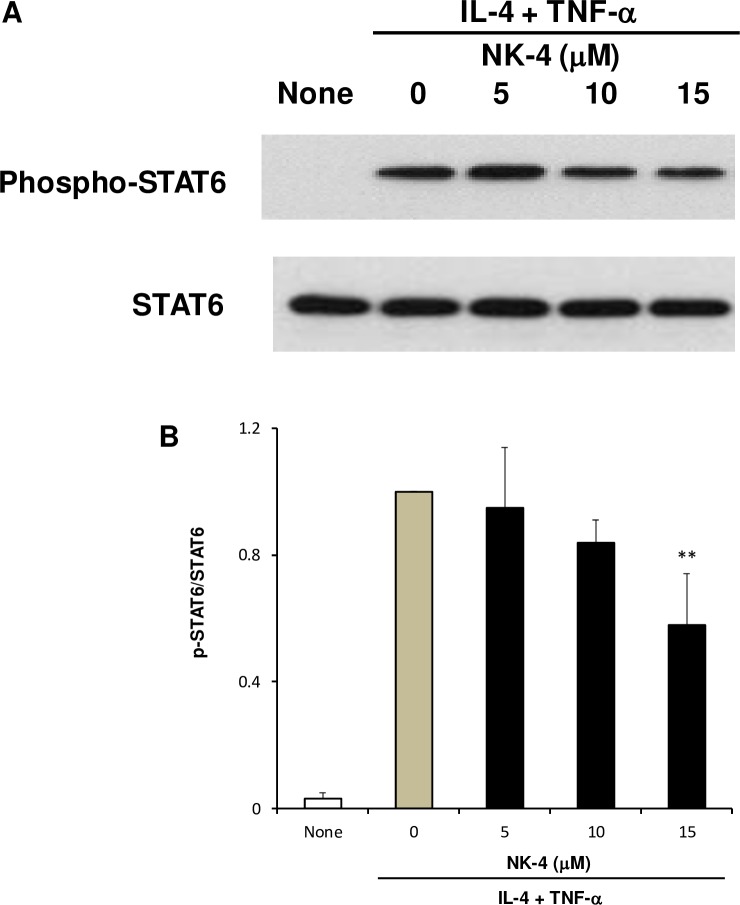 Fig 9