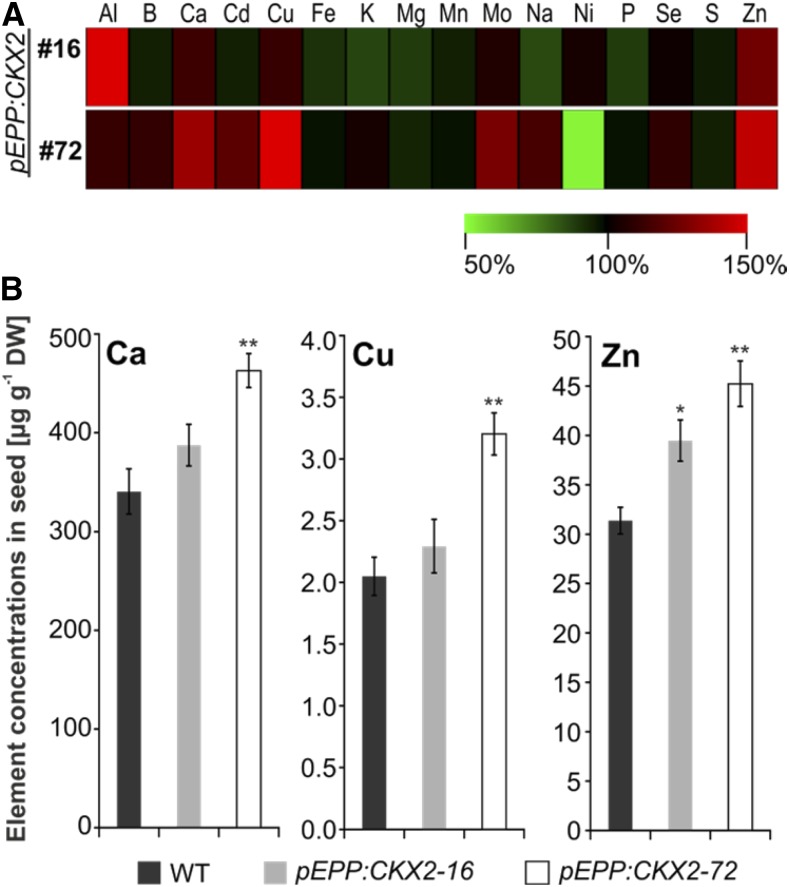 Figure 5.