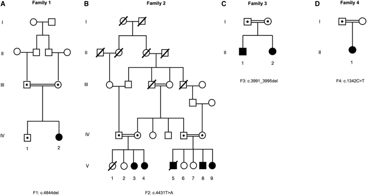 Figure S1