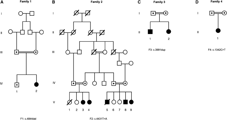 Figure S1