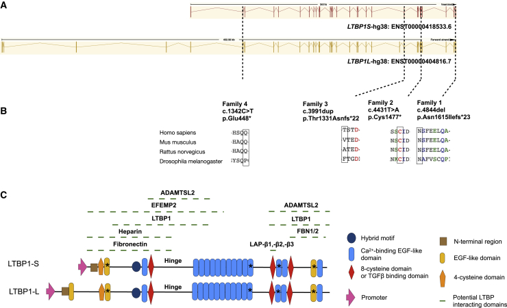 Figure 2