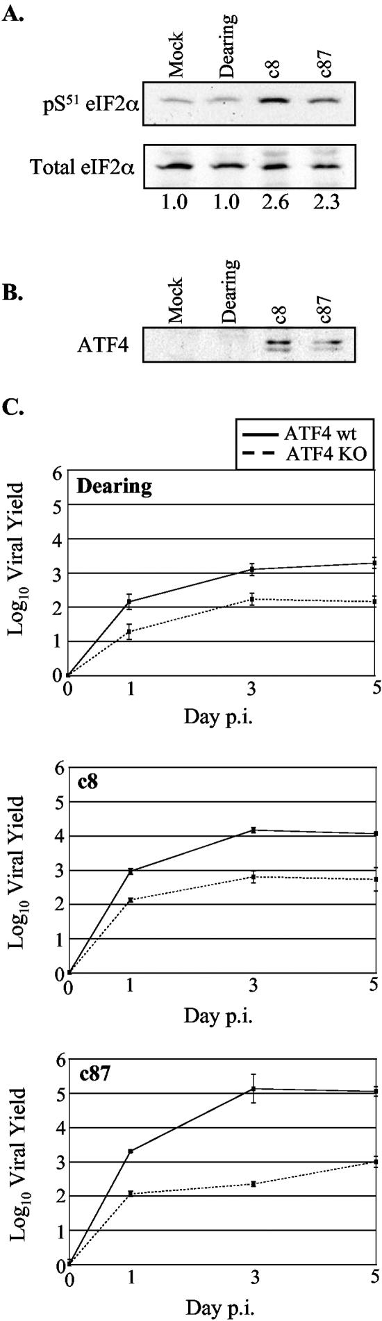 FIG. 6.