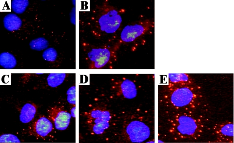 FIG. 7.