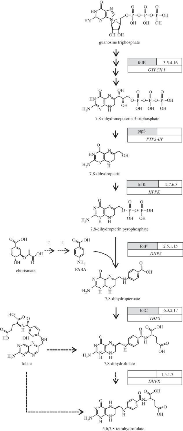 Figure 2.