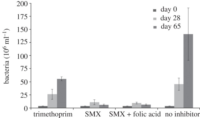 Figure 3.