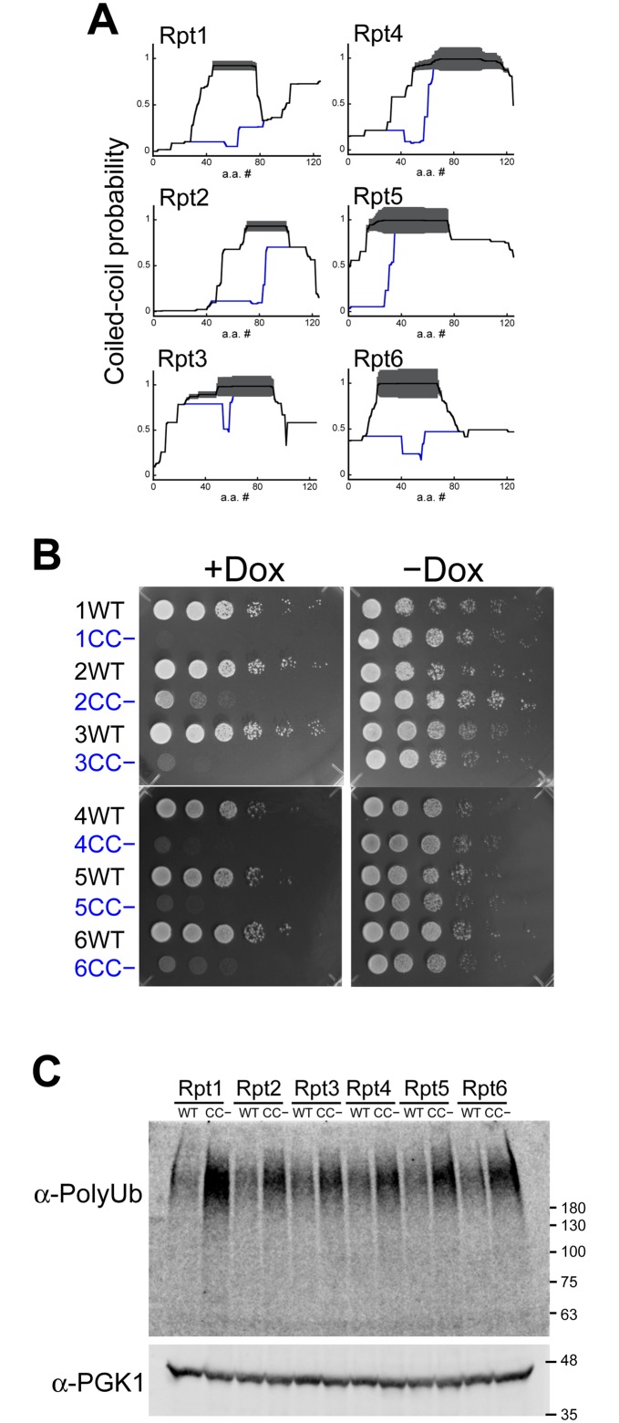 Fig 5