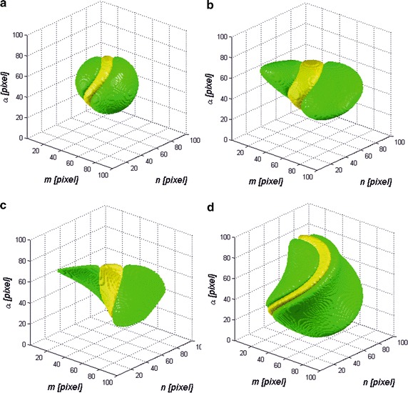 Fig. 2