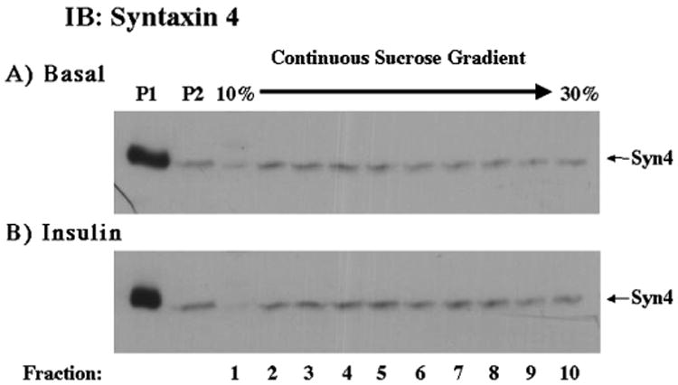 Fig. 11