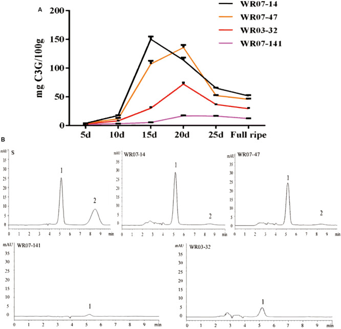 FIGURE 5