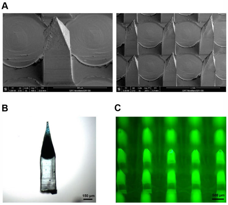 Figure 10