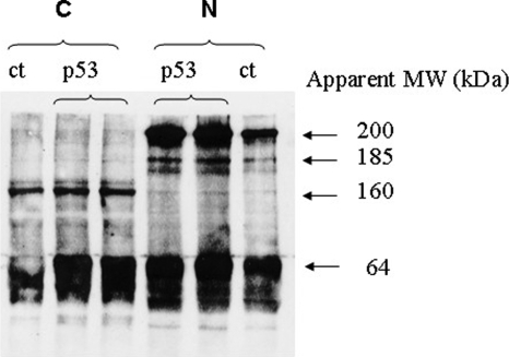 Figure 9: