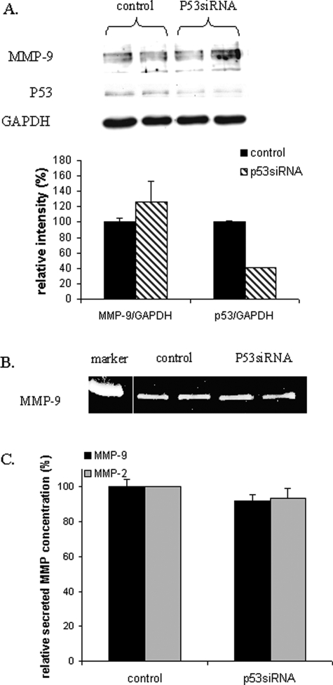 Figure 7: