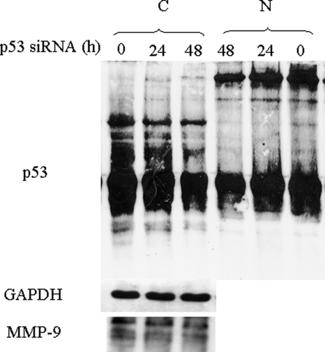 Figure 10: