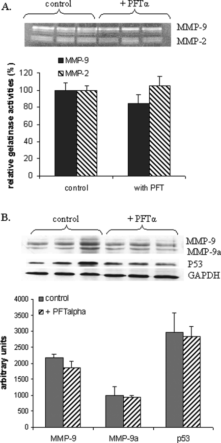 Figure 5: