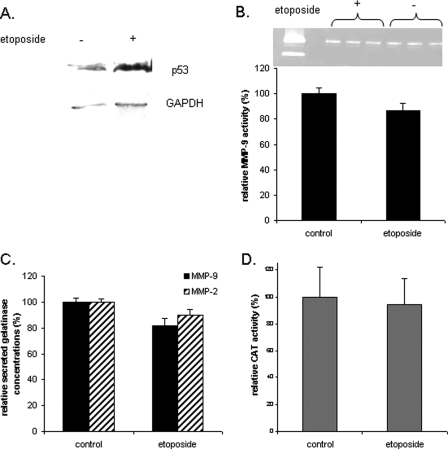 Figure 4: