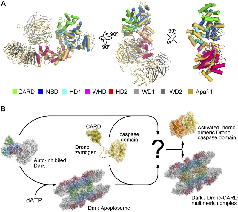 Figure 6.