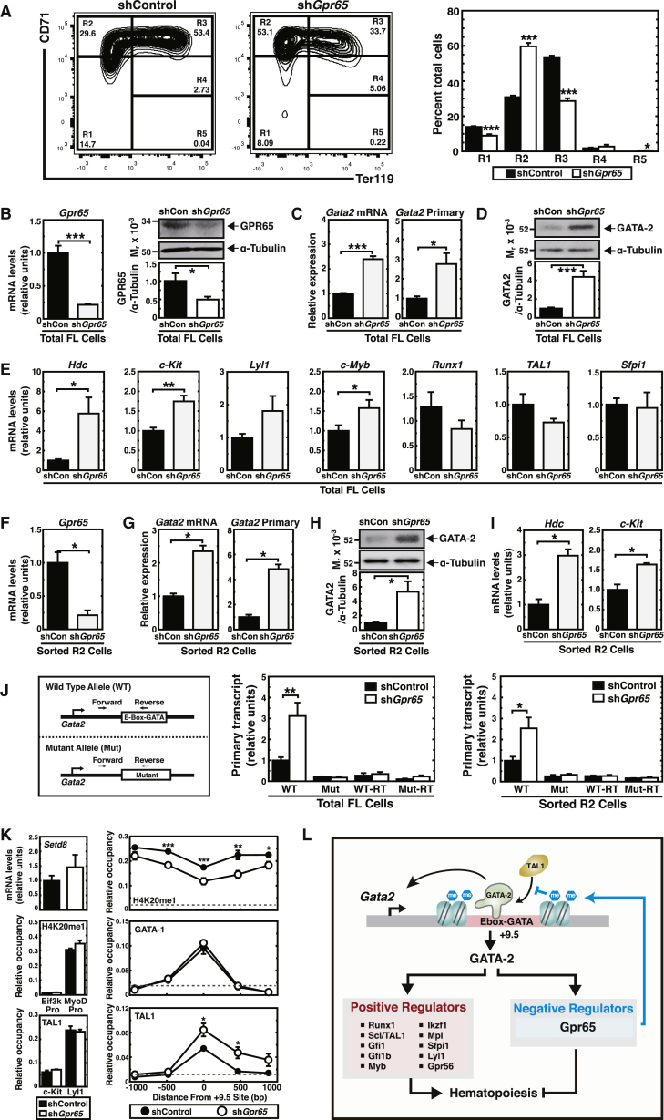 Figure 6