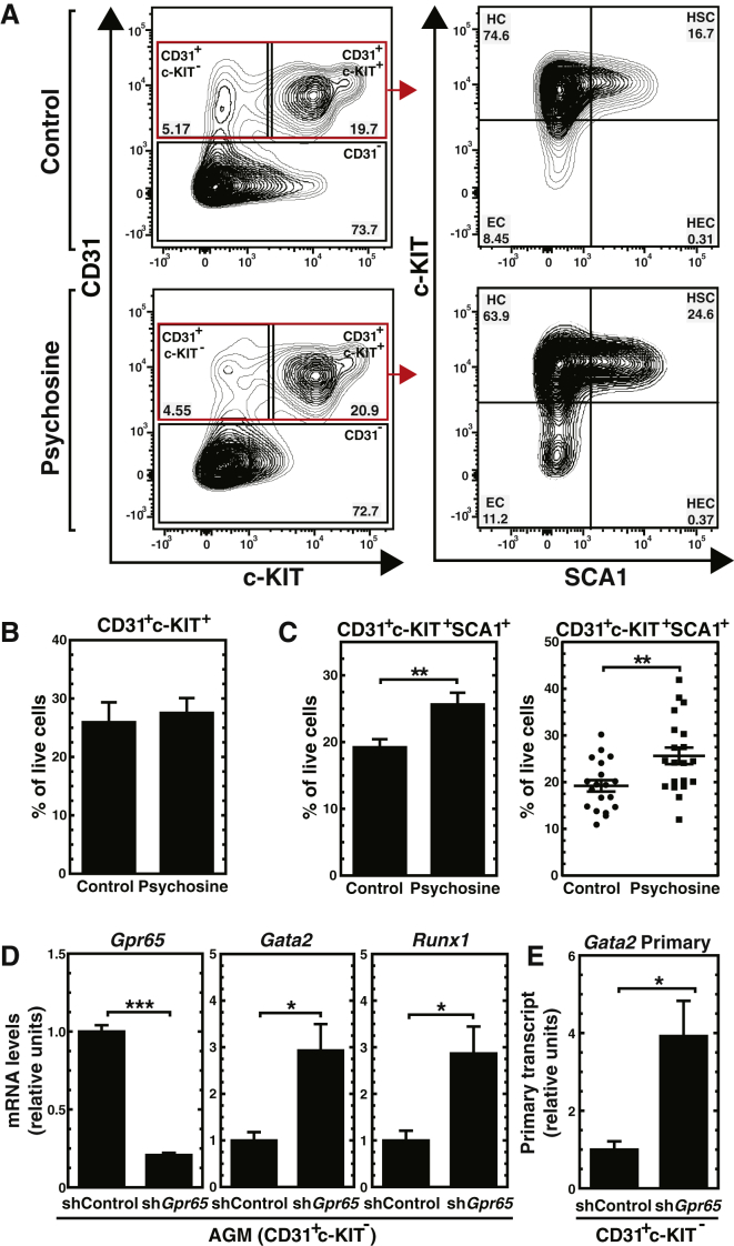 Figure 5