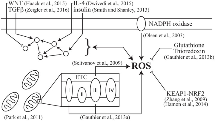 FIGURE 1