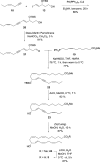 Scheme 5