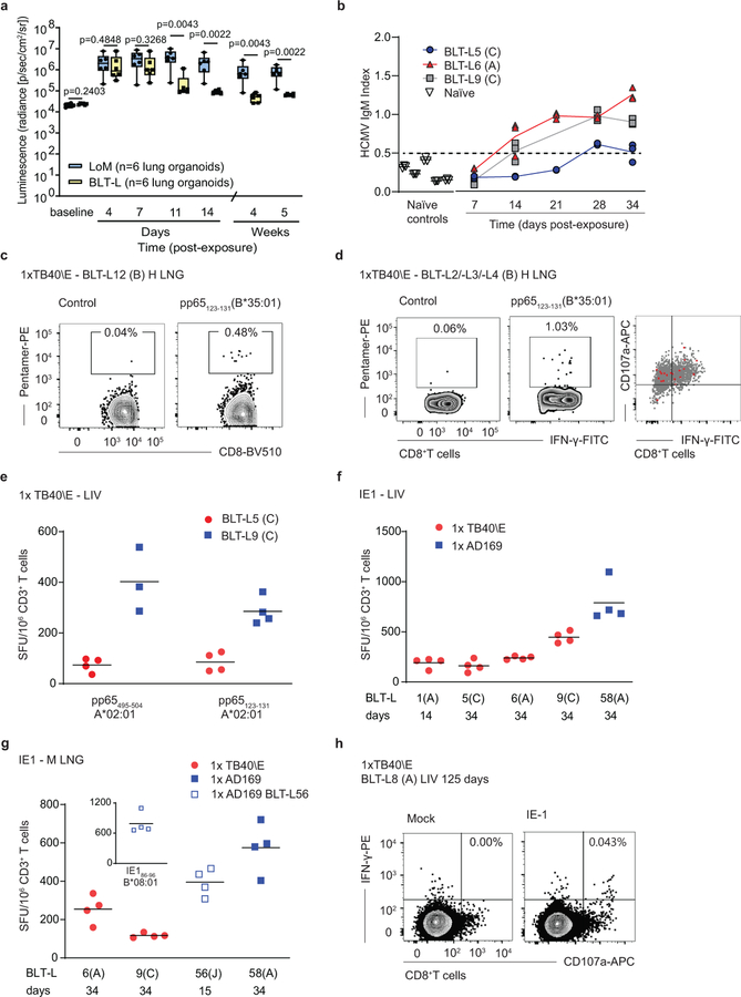 Fig. 4: