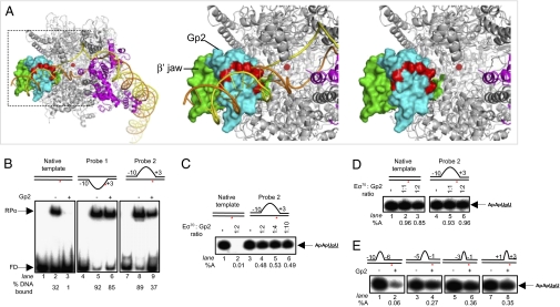 Fig. 4.