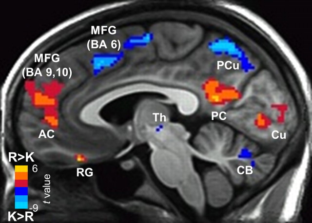 Figure 7.