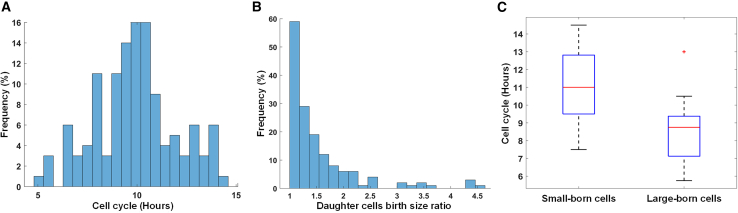 Figure 6