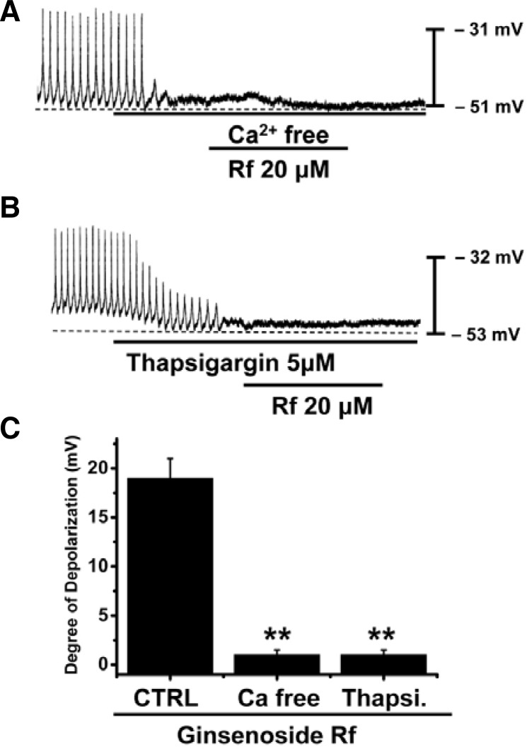 Fig. 5.