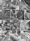 FIG. 6