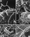 FIG. 8